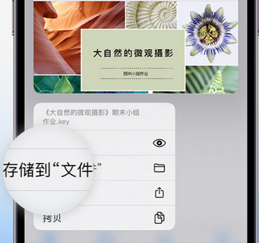 江川apple维修中心分享iPhone文件应用中存储和找到下载文件