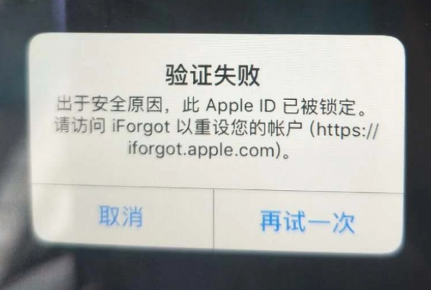 江川iPhone维修分享iPhone上正常登录或使用AppleID怎么办 