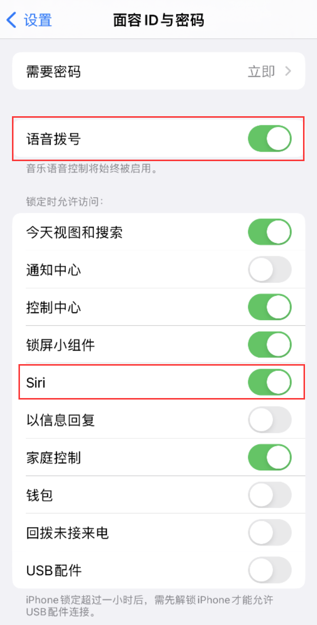 江川苹果维修网点分享不解锁 iPhone 的情况下通过 Siri 拨打电话的方法 