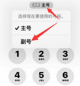 江川苹果14维修店分享iPhone 14 Pro Max使用副卡打电话的方法 