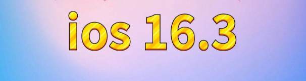 江川苹果服务网点分享苹果iOS16.3升级反馈汇总 