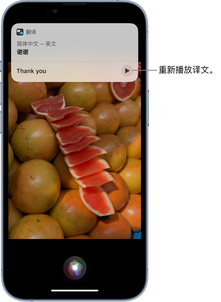 江川苹果14维修分享 iPhone 14 机型中使用 Siri：了解 Siri 能帮你做什么 