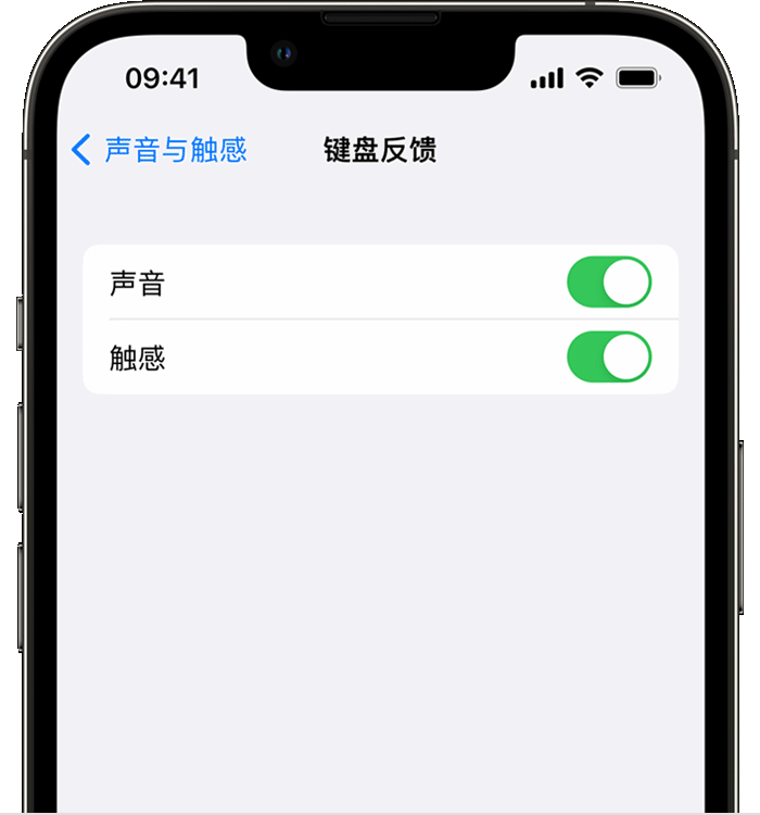 江川苹果14维修分享iPhone 14 系列机型如何开启键盘声音或触感反馈 