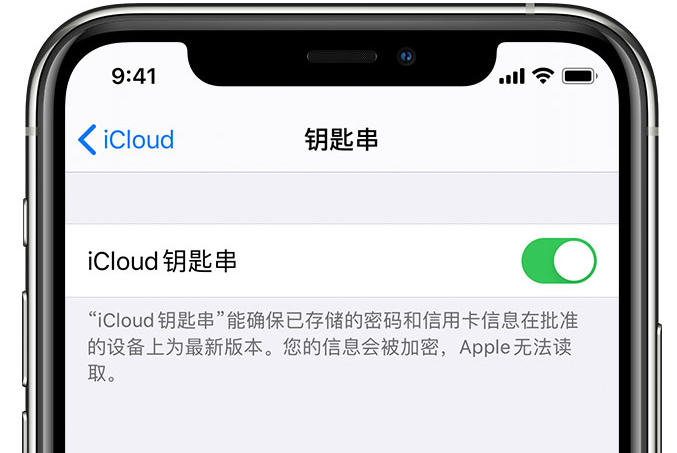 江川苹果手机维修分享在 iPhone 上开启 iCloud 钥匙串之后会储存哪些信息 