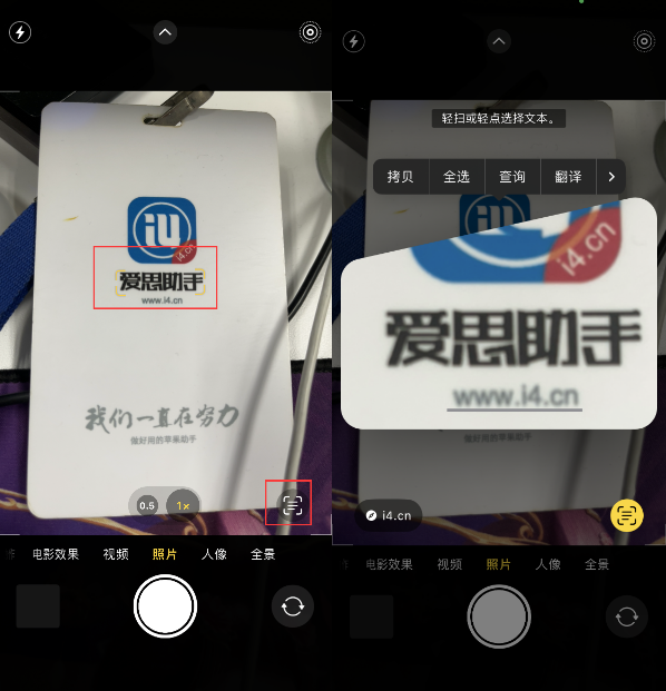 江川苹果手机维修分享升级iOS 16后如何通过相机翻译文本 