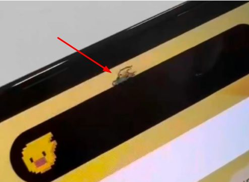 江川苹果14维修分享iPhone 14 Pro Max灵动岛怎么养宠物 