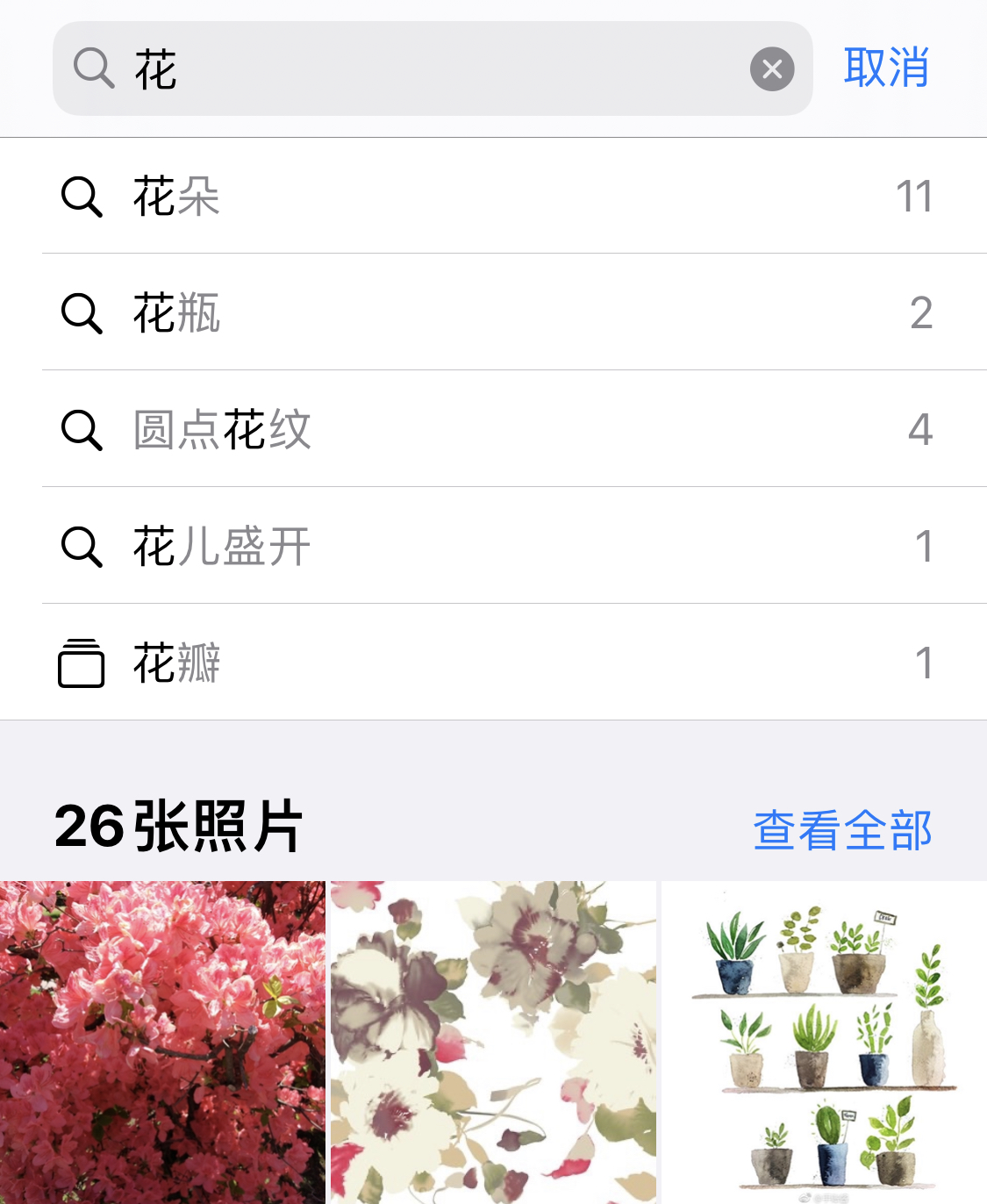 江川苹果手机维修分享iPhone 小技巧 