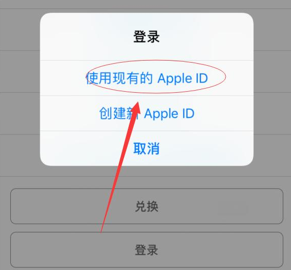 江川苹果手机维修分享两台iPhone设备可以同时登录一个Apple ID吗 