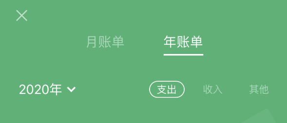 江川苹果手机维修分享如何在 iPhone 上查看支付宝和微信年支出账单 